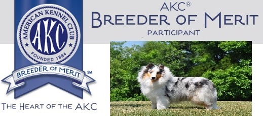 AKC Banner