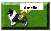 Amelia