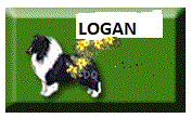 Logan