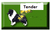 Tender