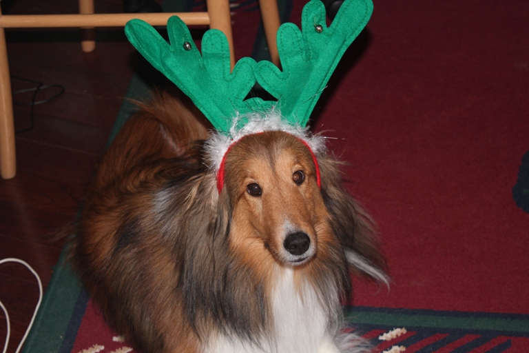 Maggie Christmas