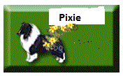 Pixie